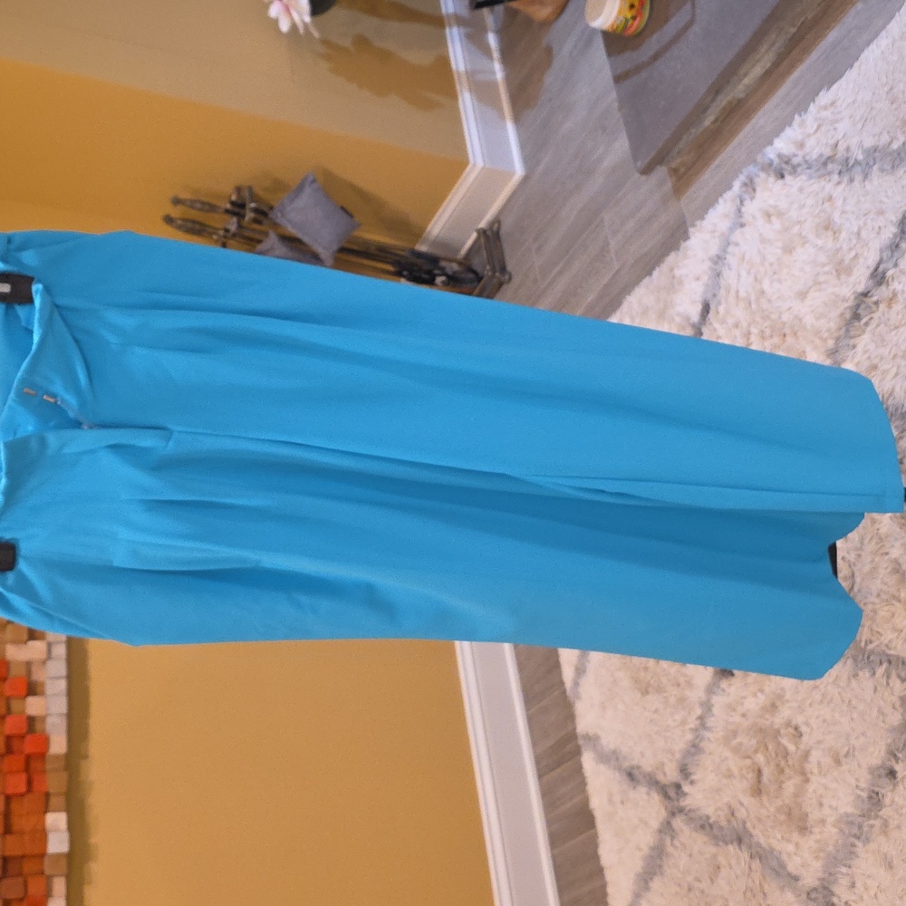 New York & Company Sky Blue Trousers Baggy Pants